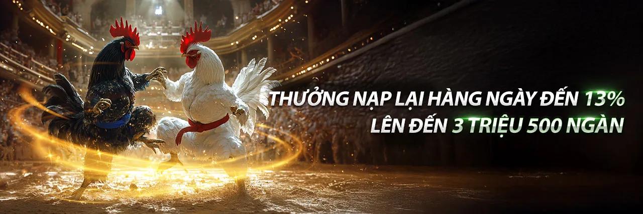 Đá Gà Thomo 7 2 Trực Tiếp